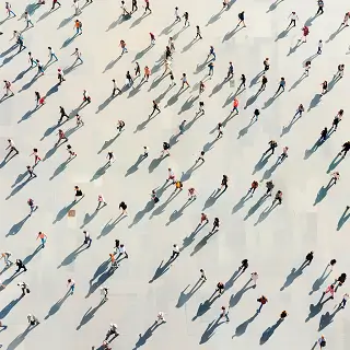 绵阳跟东阳哪个教育好